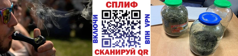 МЕФ Братск