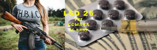 spice Липки