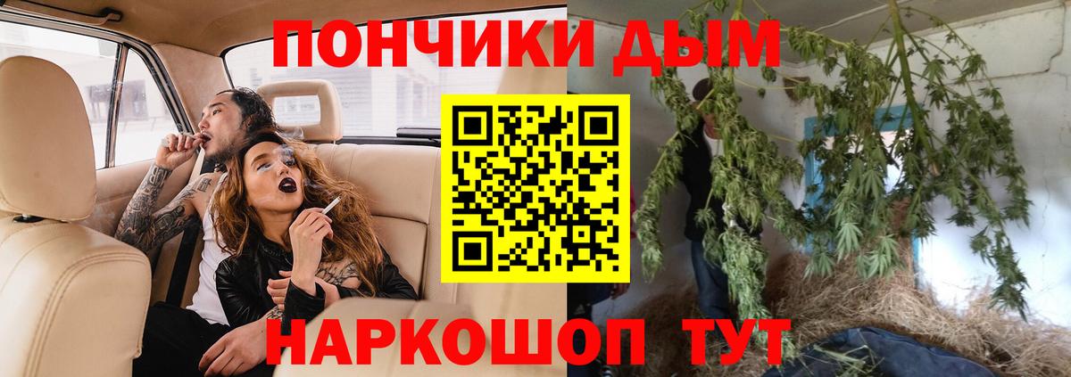 Бошки Шишки сатива Братск